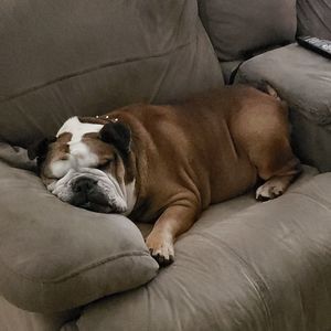 Meet your Posher, Justin